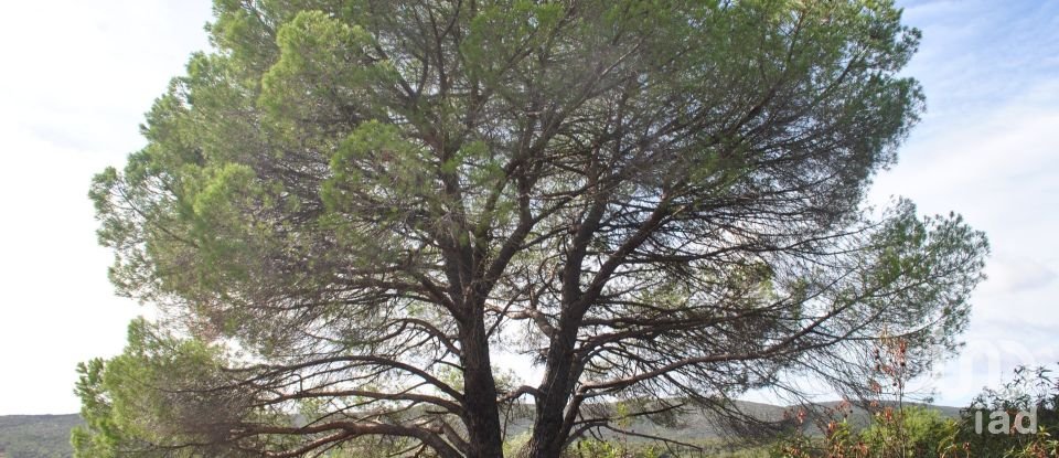 Maison rustique T0 à Querença, Tôr e Benafim de 39 m²