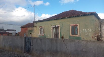 House T2 in Lamas e Cercal of 224 m²
