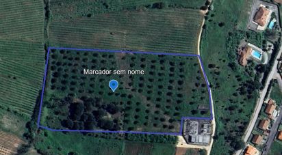 Land in Painho e Figueiros of 260,400 m²