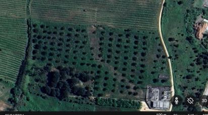 Land in Painho e Figueiros of 26,040 m²