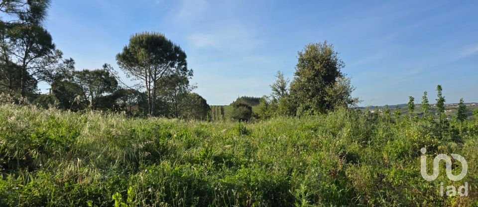 Land in Painho e Figueiros of 26,040 m²