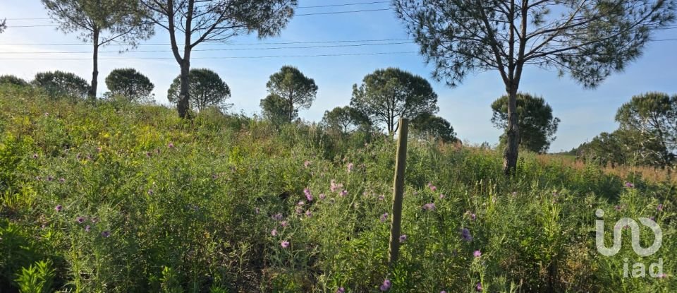 Land in Painho e Figueiros of 26,040 m²