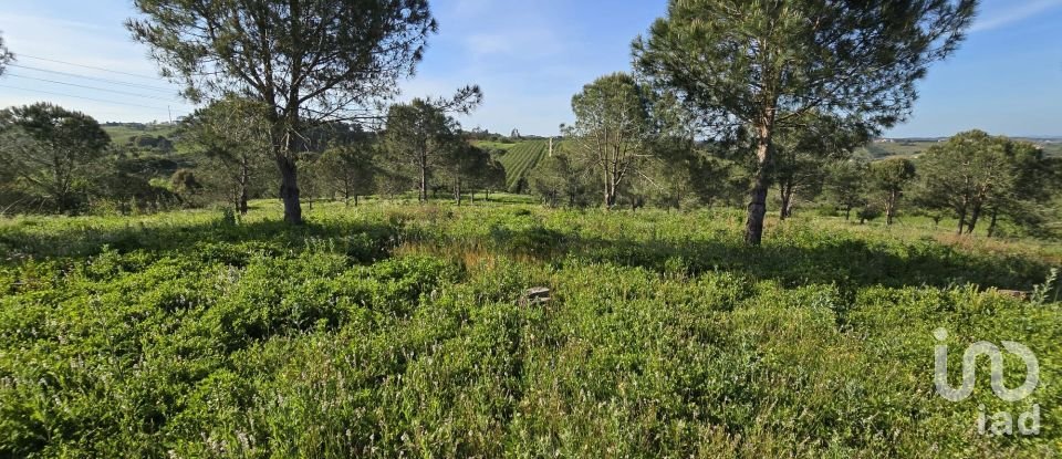 Land in Painho e Figueiros of 26,040 m²