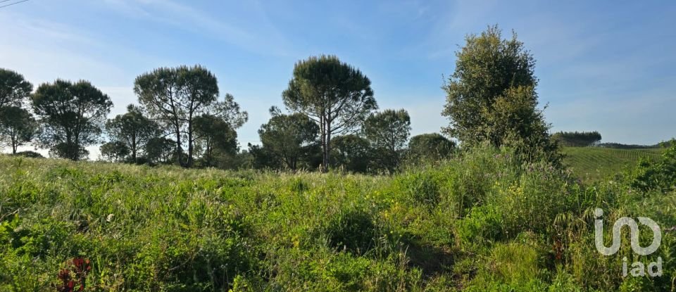 Land in Painho e Figueiros of 26,040 m²