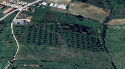 Land in Painho e Figueiros of 26,040 m²