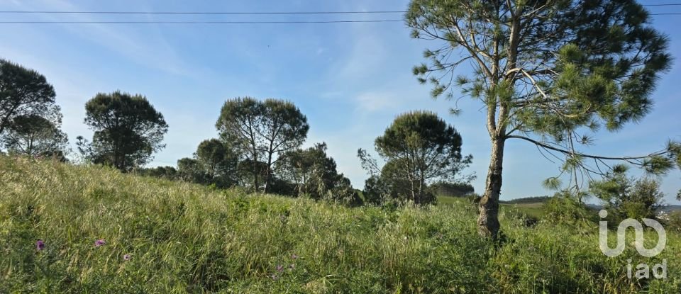 Land in Painho e Figueiros of 26,040 m²
