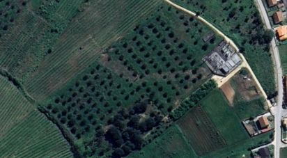 Land in Painho e Figueiros of 26,040 m²