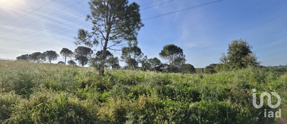 Land in Painho e Figueiros of 26,040 m²