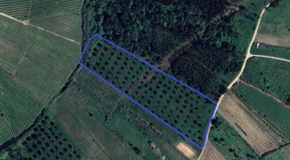 Land in Painho e Figueiros of 18,760 m²