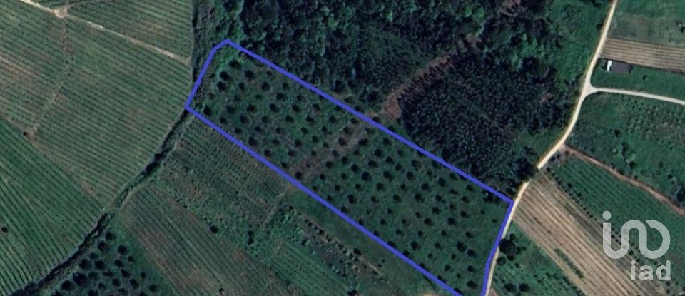 Land in Painho e Figueiros of 18,760 m²