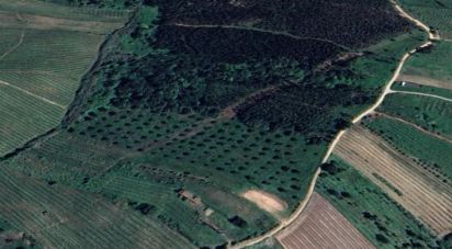 Terreno em Painho e Figueiros de 18 760 m²