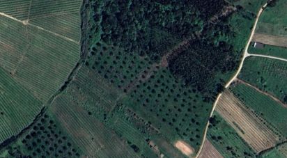 Land in Painho e Figueiros of 18,760 m²