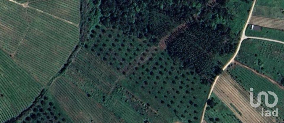 Land in Painho e Figueiros of 18,760 m²