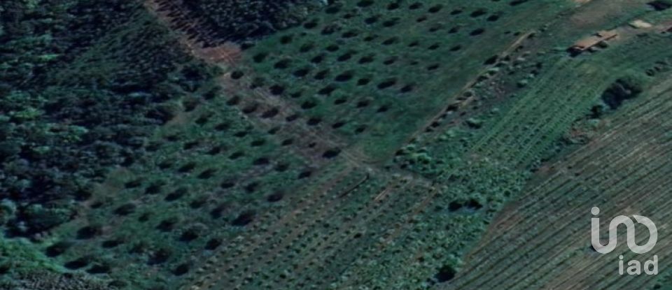 Land in Painho e Figueiros of 18,760 m²