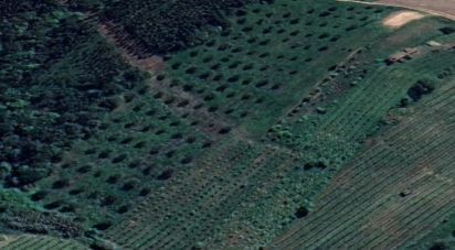 Land in Painho e Figueiros of 18,760 m²