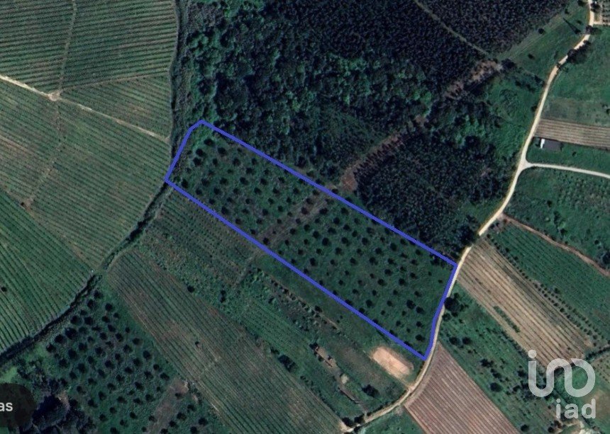 Land in Painho e Figueiros of 18,760 m²