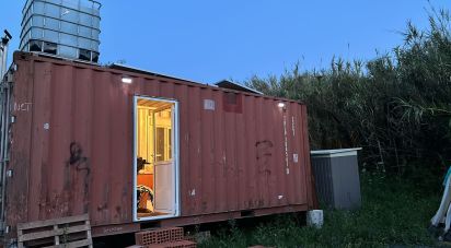 Terrain à Montargil de 7 000 m²