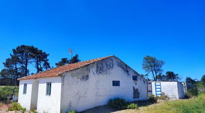 Maison T2 à Torreira de 136 m²