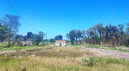 Maison T2 à Torreira de 136 m²