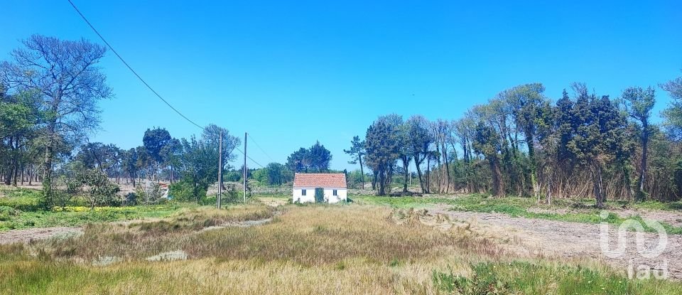 House T2 in Torreira of 136 m²