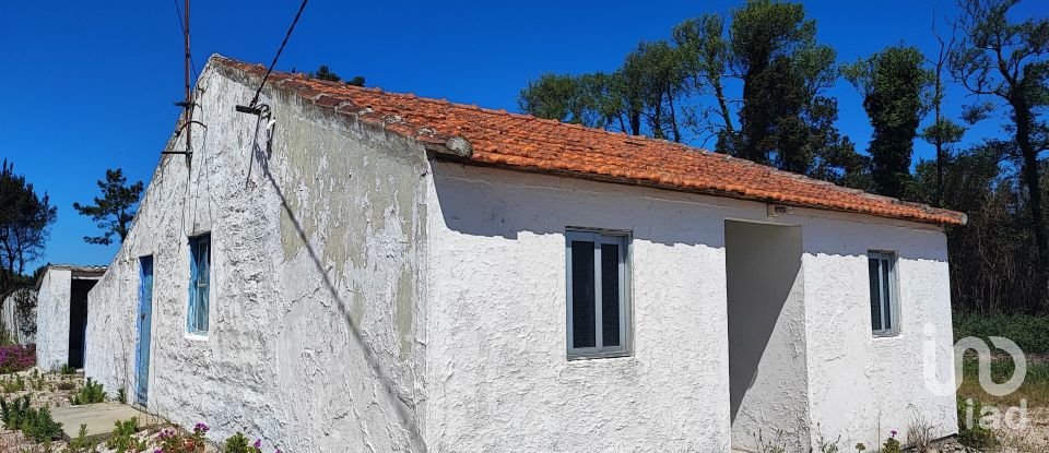 House T2 in Torreira of 136 m²