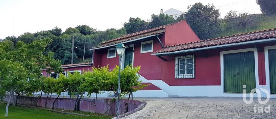 Farm T7 in Torres Novas (São Pedro), Lapas e Ribeira Branca of 1,563 m²