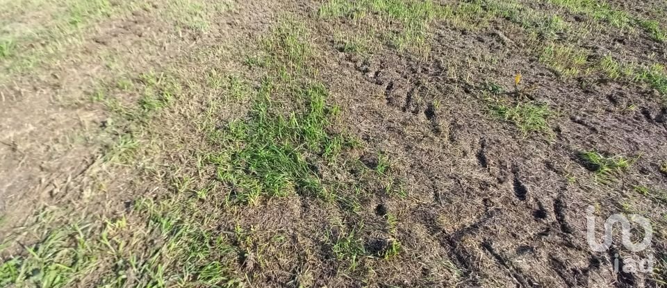 Terrain à Perelhal de 1 050 m²