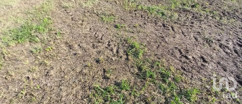 Terrain à Perelhal de 1 050 m²