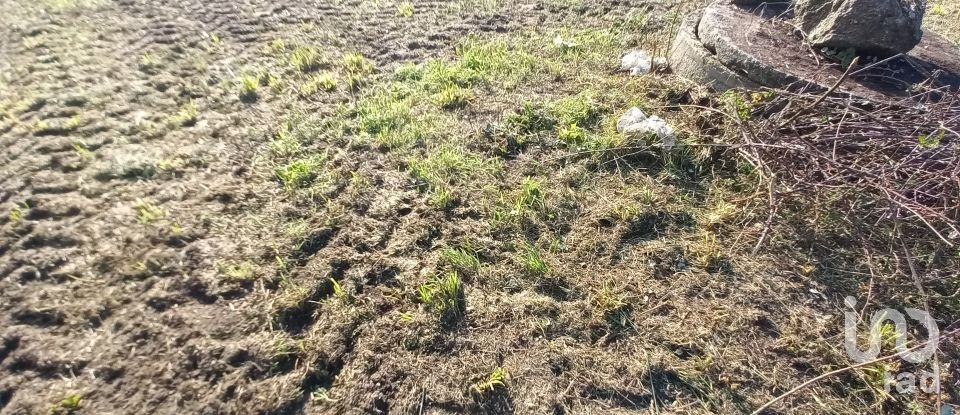 Terrain à Perelhal de 1 050 m²