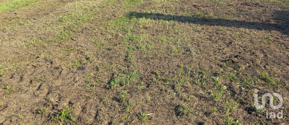 Terrain à Perelhal de 1 050 m²