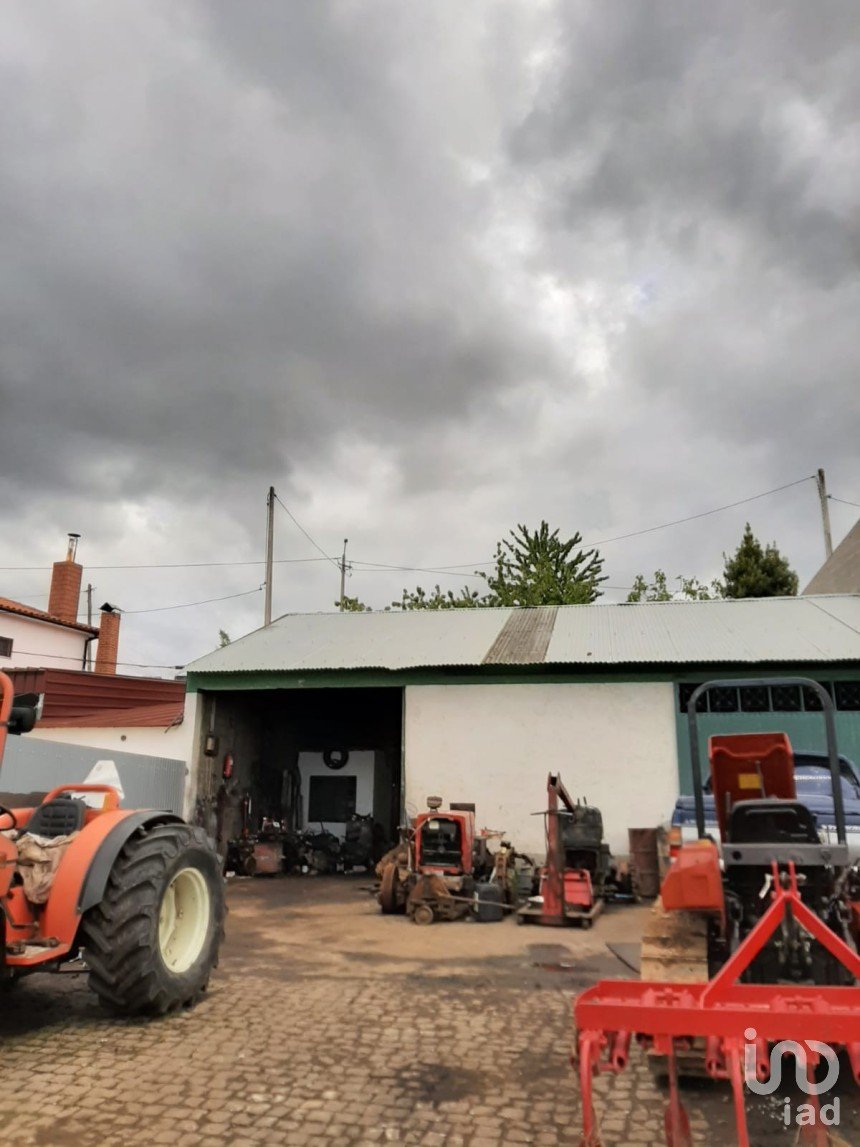 Boutique/Local commercial à Lagoaça e Fornos de 119 m²