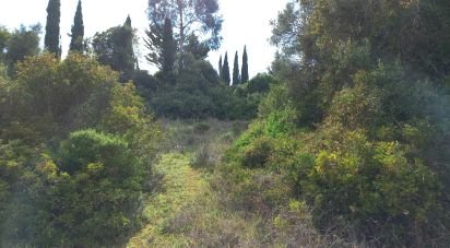 Terrain à Loulé (São Clemente) de 700 m²