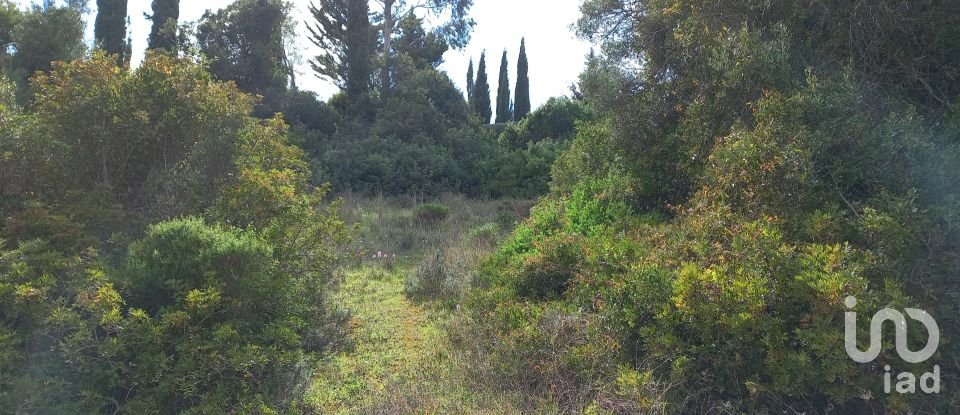 Terrain à Loulé (São Clemente) de 700 m²