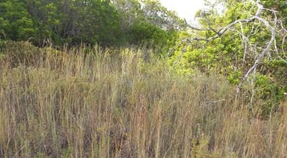 Terrain à Loulé (São Clemente) de 700 m²