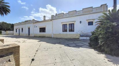Farm T4 in Alcantarilha e Pêra of 150 m²