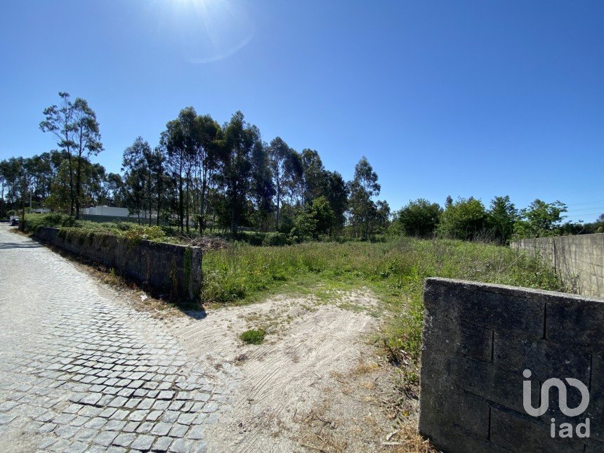 Terrain à Mazarefes E Vila Fria de 6 015 m²