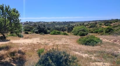 Land in Porches of 53,440 m²