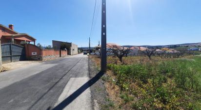 Terreno em Bombarral e Vale Covo de 17 440 m²