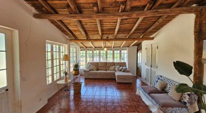 Ferme T3 à Silves de 270 m²