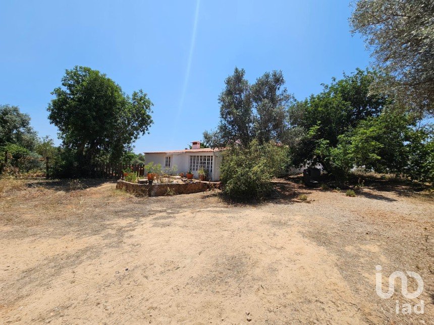 Farm T3 in Silves of 270 m²