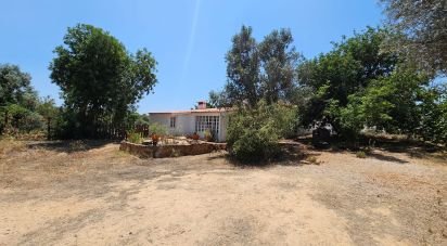 Ferme T3 à Silves de 270 m²