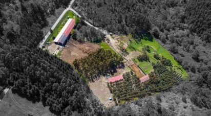 Boutique/Local commercial à Moledo de 700 m²