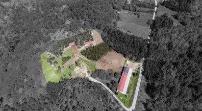 Boutique/Local commercial à Moledo de 700 m²