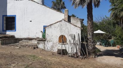 Building land in Luz of 42,960 m²