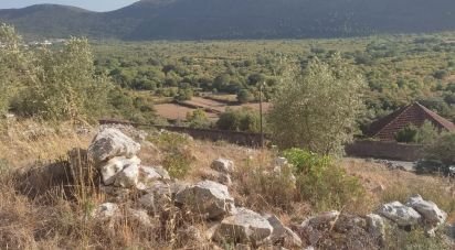 Terreno em Mira de Aire de 1 275 m²