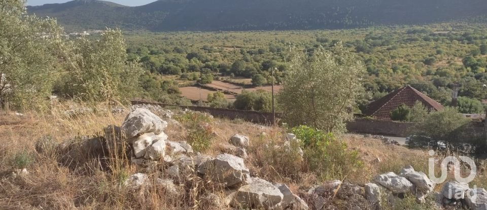 Terrain à Mira de Aire de 1 275 m²