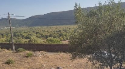 Terreno em Mira de Aire de 1 275 m²