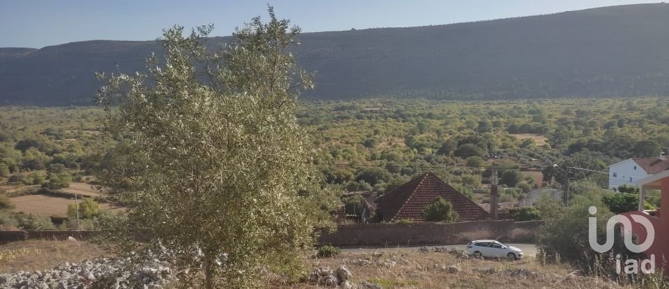 Terrain à Mira de Aire de 1 275 m²