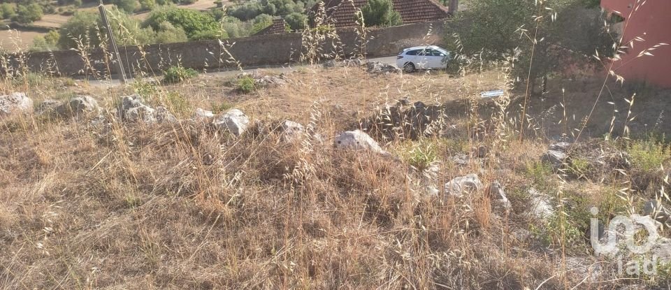 Terrain à Mira de Aire de 1 275 m²