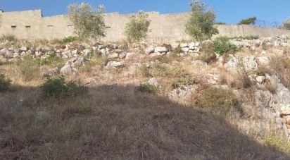 Terreno em Mira de Aire de 1 275 m²